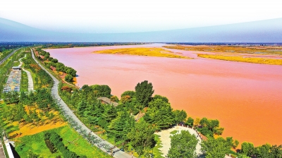 奮斗百年路 啟航新征程丨萬眾一心保安瀾——黃河河南段秋汛防御回眸