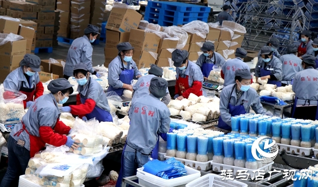 駐馬店市新聞戰(zhàn)線慶祝第二十二個記者節(jié)集中采風