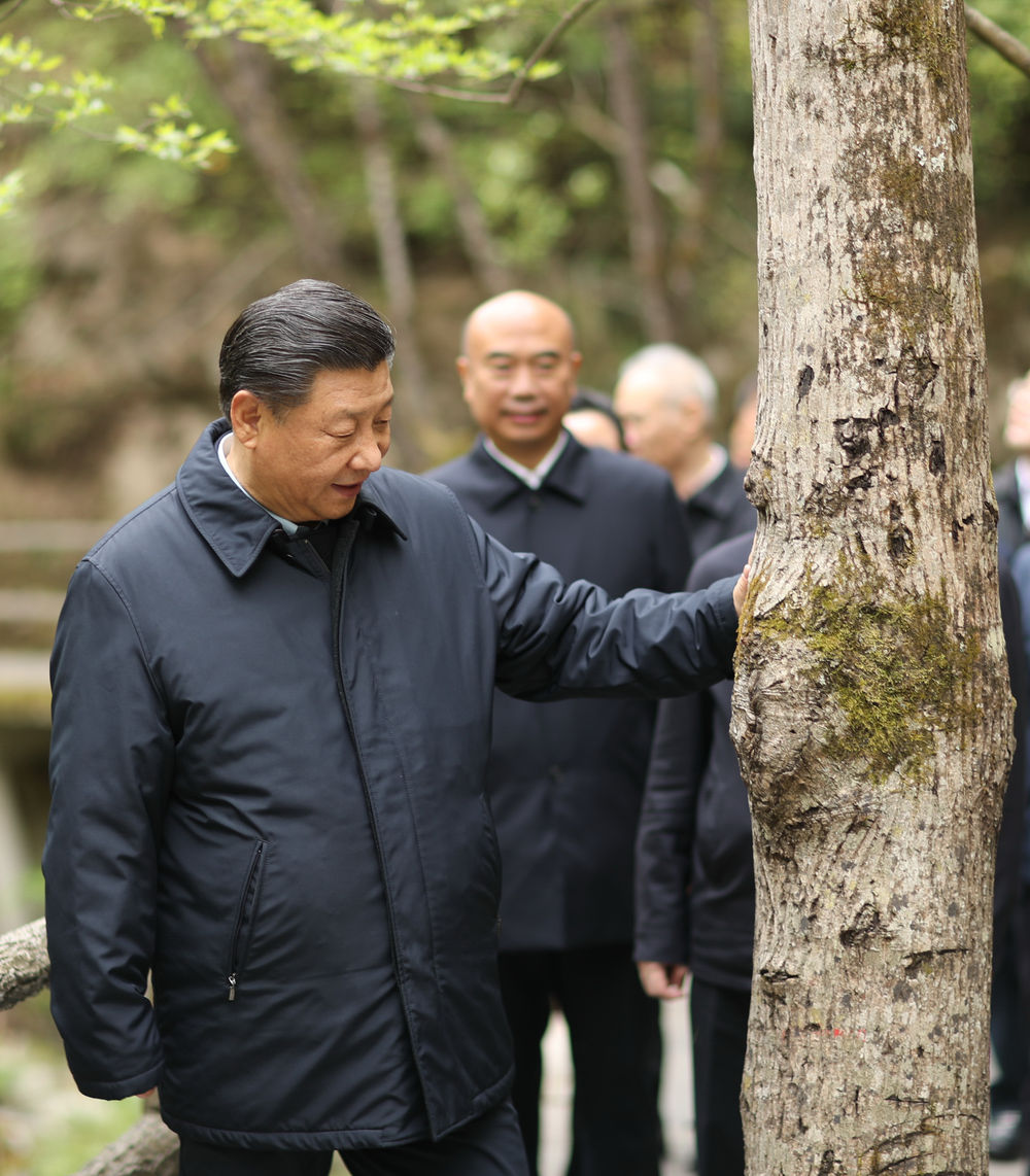  習近平帶領百年大黨奮進新征程