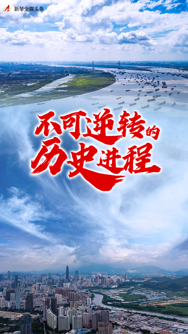 不可逆轉(zhuǎn)的歷史進程——從以習近平同志為核心的黨中央引領(lǐng)新時代變革性實踐看實現(xiàn)中華民族偉大復(fù)興