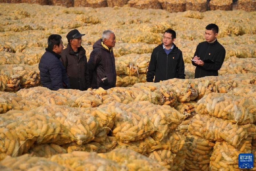 不可逆轉(zhuǎn)的歷史進程——從以習近平同志為核心的黨中央引領(lǐng)新時代變革性實踐看實現(xiàn)中華民族偉大復(fù)興