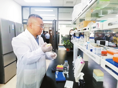 新發(fā)現的“河南魚”來了 穿“淡黃長裙”的它有啥秘密