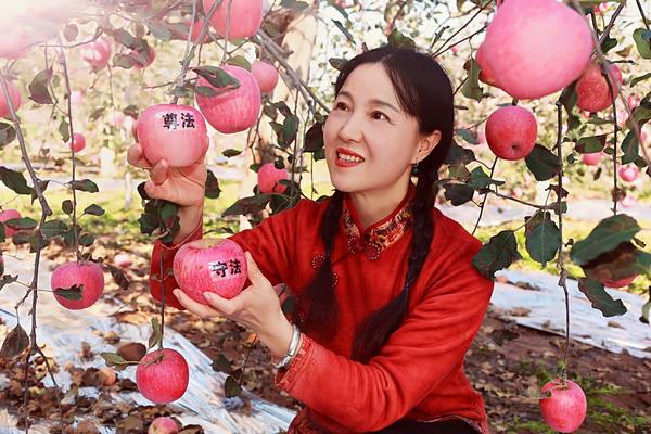 三門(mén)峽的蘋(píng)果紅了！今年產(chǎn)量約19.7億公斤