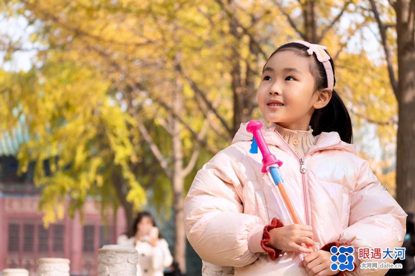 初冬銀杏美，滿樹金黃醉游人