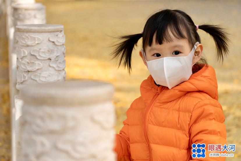 初冬銀杏美，滿樹金黃醉游人