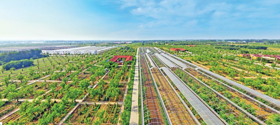 河南：從脫貧攻堅(jiān)的主戰(zhàn)場(chǎng)奔向鄉(xiāng)村振興的田野