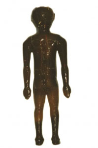 文物“醫(yī)生”分享揭秘：漢墓出土漆木器如何保護？