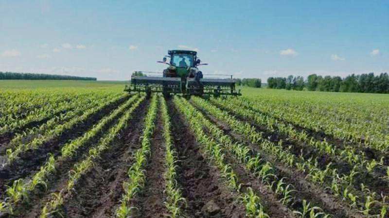 化肥價(jià)格明顯上漲創(chuàng)新高，明年春耕化肥有保障嗎？