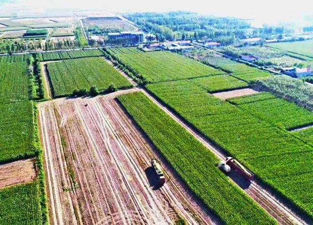 創(chuàng)新方式方法推進(jìn)鄉(xiāng)村振興（高質(zhì)量發(fā)展在身邊）