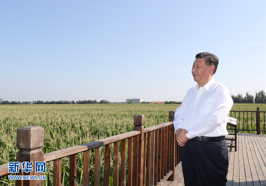 學習進行時丨談到這個問題，習近平每句話都很重