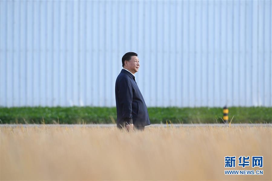 學習進行時丨談到這個問題，習近平每句話都很重