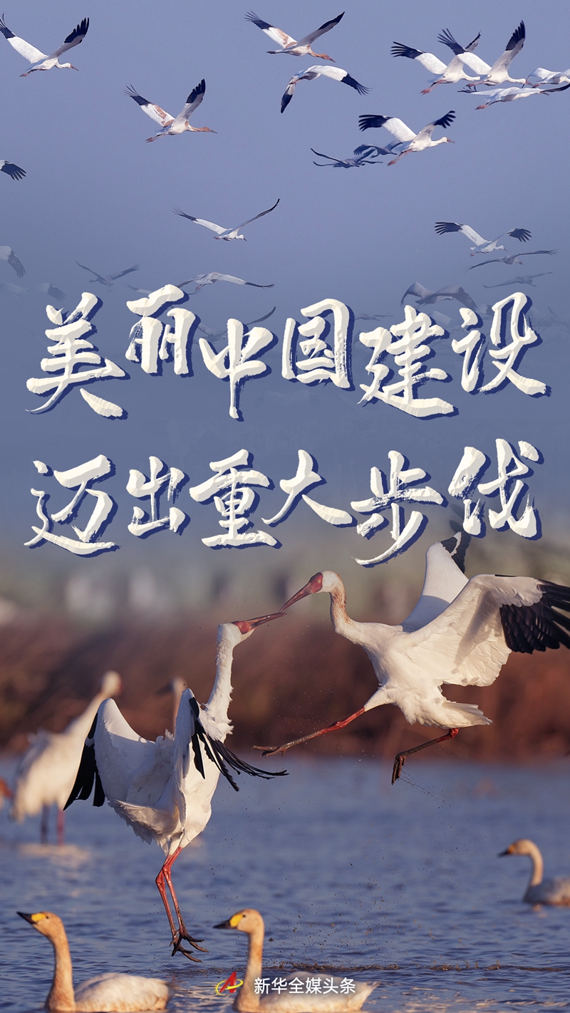 六中全會(huì)精神｜美麗中國建設(shè)邁出重大步伐