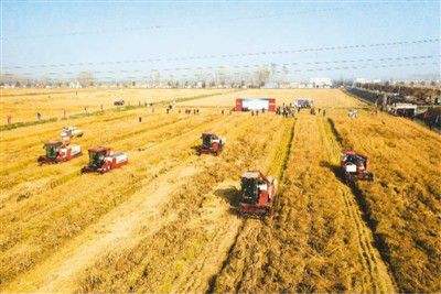 一系列節(jié)糧減損政策措施出臺(tái)——節(jié)糧減損增加“無(wú)形良田”