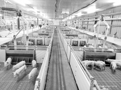 連續(xù)5年糧產(chǎn)超1300億斤變&ldquo;糧田&rdquo;為&ldquo;良田&rdquo;河南要怎么做？