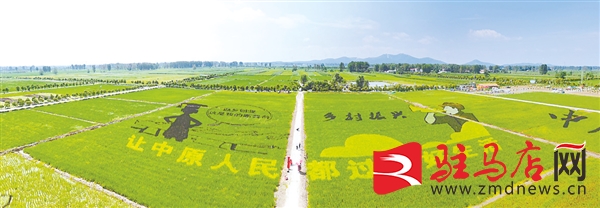 2021年，駐馬店這些榮譽沉甸甸