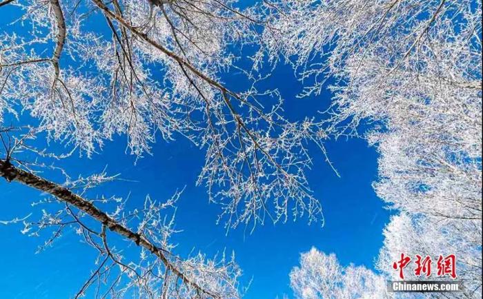 今日小寒丨綠蟻新醅酒，紅泥小火爐