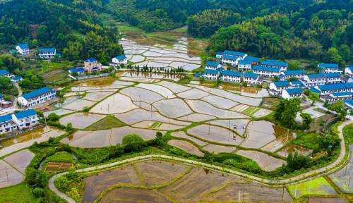 零容忍！非法占用永久基本農(nóng)田5畝以上就可能被判刑