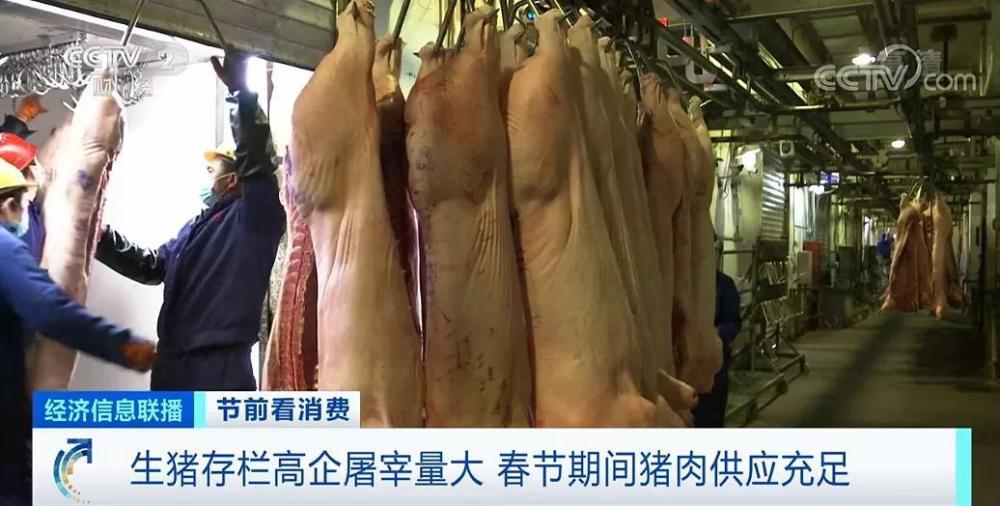 春節(jié)倒計時豬肉價格連降5周！旺季不旺咋回事？