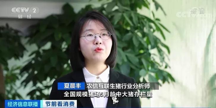 春節(jié)倒計時豬肉價格連降5周！旺季不旺咋回事？