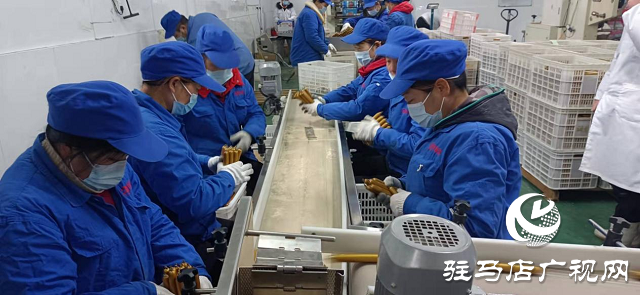 河南伊順苑：加班加點   抗“疫”生產兩不誤