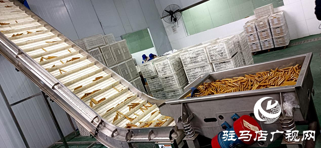 河南伊順苑：加班加點   抗“疫”生產兩不誤