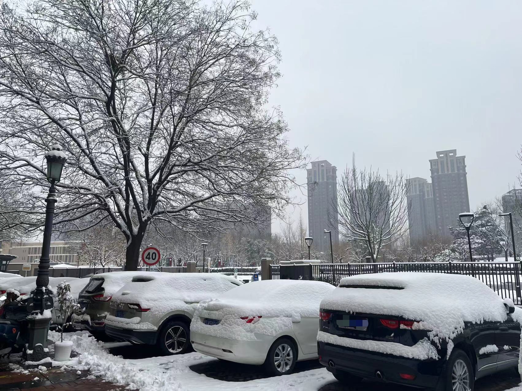 嚴禁遲報、漏報，杜絕瞞報！河南再部署低溫雨雪冰凍災(zāi)害天氣防范應(yīng)對工作