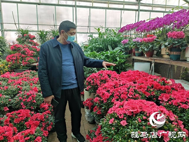 百花迎新春 虎年要來(lái)到