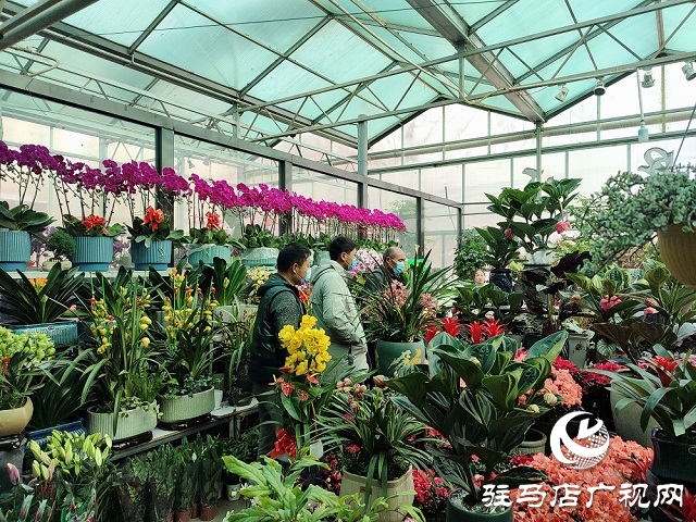 百花迎新春 虎年要來(lái)到