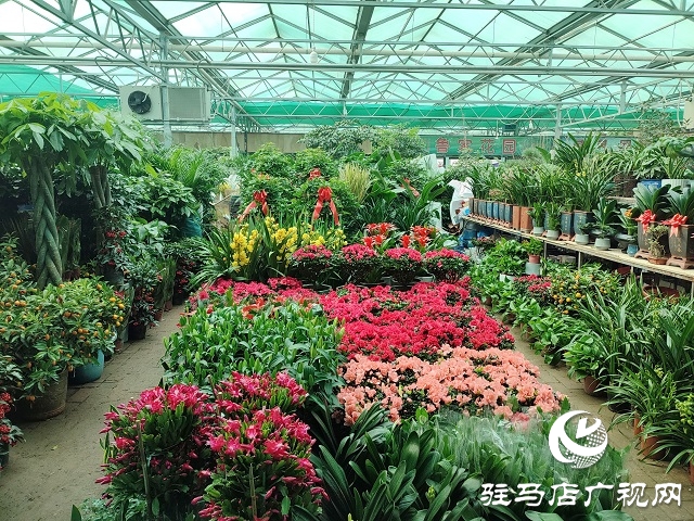 百花迎新春 虎年要來(lái)到