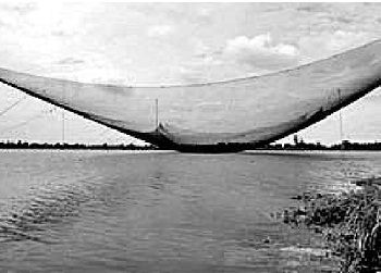 長江十年禁漁，36種漁具為何要禁用？危害觸目驚心&hellip;&hellip;