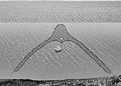 長江十年禁漁，36種漁具為何要禁用？危害觸目驚心&hellip;&hellip;