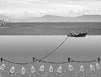 長江十年禁漁，36種漁具為何要禁用？危害觸目驚心&hellip;&hellip;