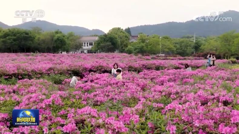 【總書記與我們?cè)谝黄稹慷死沃袊埻攵岛妹裆拙€