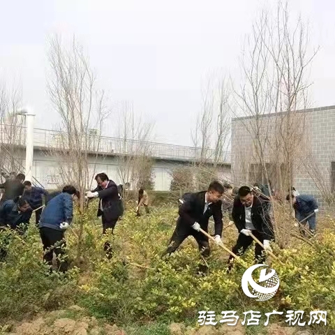 駐馬店弘康環(huán)保公司舉行植樹(shù)活動(dòng)