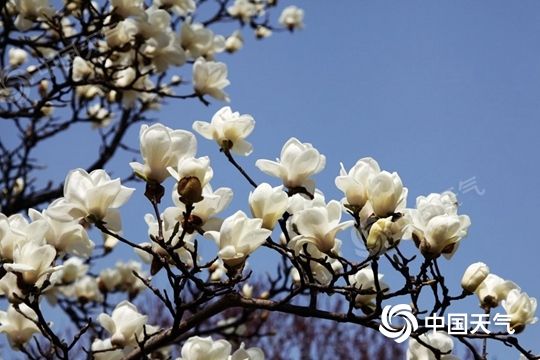 注意！冷空氣來了，部分地區(qū)降溫可達(dá)12℃以上