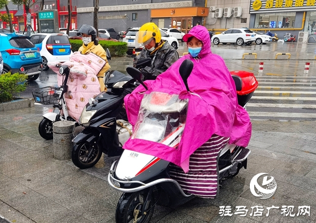 駐馬店市風雨無心陣陣摧 落花繾綣款款來
