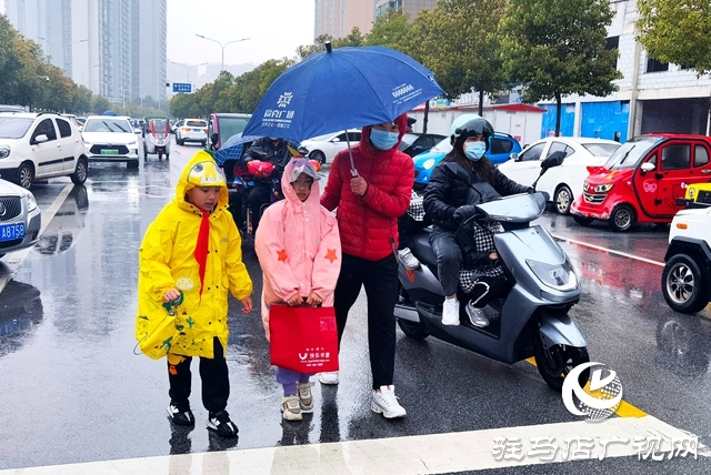駐馬店市風雨無心陣陣摧 落花繾綣款款來