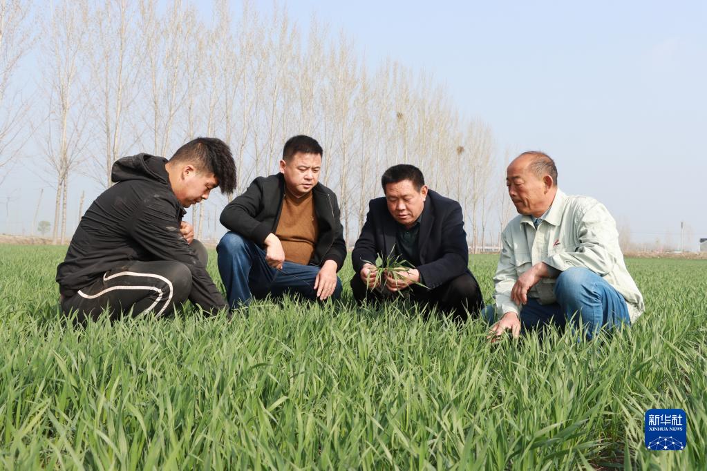 一年之計在于春丨解決農民關心事——各地各部門多措并舉推動農資穩(wěn)價保供