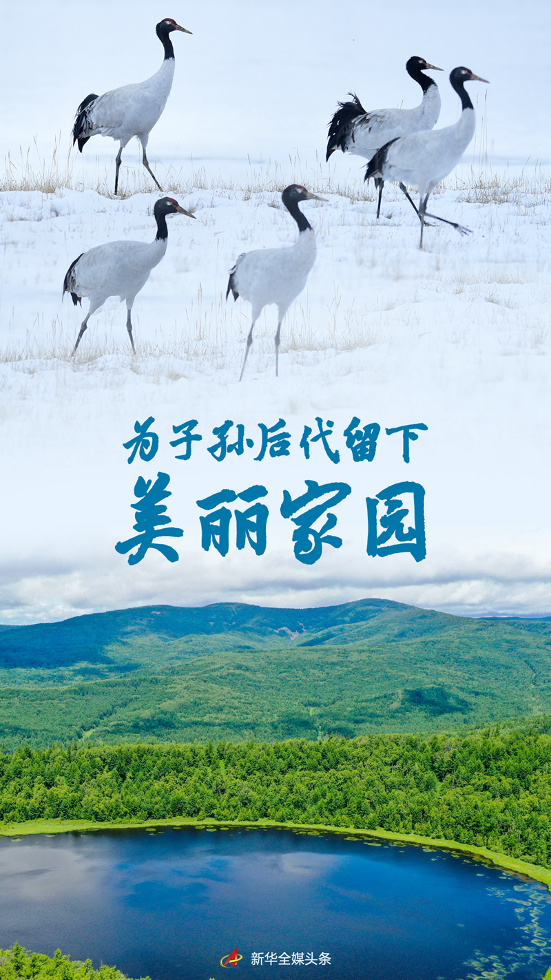 為子孫后代留下美麗家園——習(xí)近平總書記關(guān)心推動(dòng)國(guó)土綠化紀(jì)實(shí)