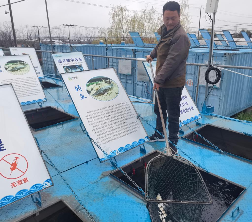 新華全媒+丨科學(xué)種糧·智能育菇·數(shù)字養(yǎng)魚——一個(gè)國(guó)家現(xiàn)代農(nóng)業(yè)示范區(qū)的轉(zhuǎn)型見聞