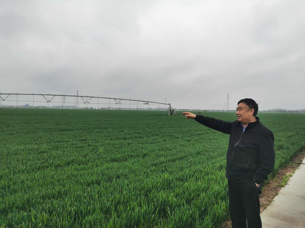 新華全媒+丨科學(xué)種糧·智能育菇·數(shù)字養(yǎng)魚——一個(gè)國(guó)家現(xiàn)代農(nóng)業(yè)示范區(qū)的轉(zhuǎn)型見聞