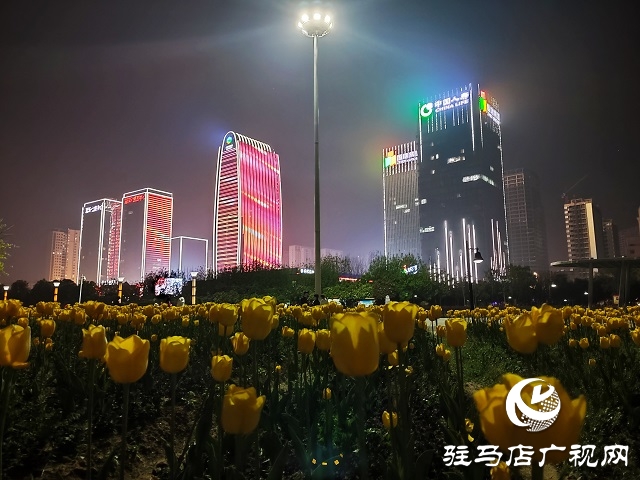 駐馬店:璀璨燈光扮靚城市夜景