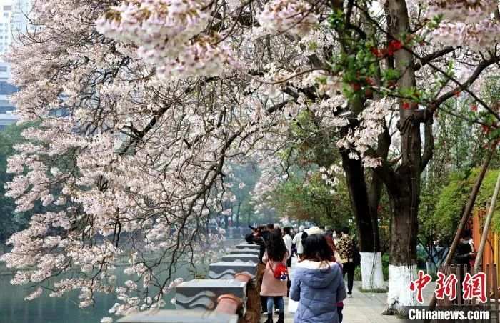 五一放假調(diào)休共5天，還能跨省出行嗎？