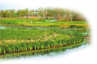 行走河南·讀懂中國丨大河兩岸 新潮澎湃——探訪黃河文化建設(shè)重點項目