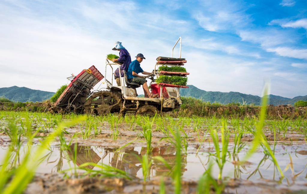 破堵點(diǎn)、保暢通、穩(wěn)春耕&mdash;&mdash;國務(wù)院聯(lián)防聯(lián)控機(jī)制回應(yīng)防疫焦點(diǎn)問題