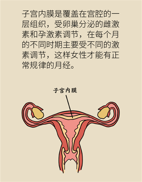 體重超過(guò)這個(gè)指標(biāo)，竟然會(huì)得這種婦科癌癥？