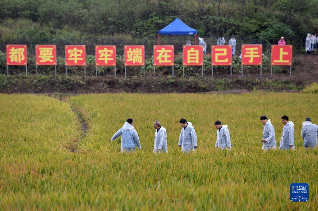 “國(guó)家科技創(chuàng)新力的根本源泉在于人”——習(xí)近平關(guān)心科技工作者的故事