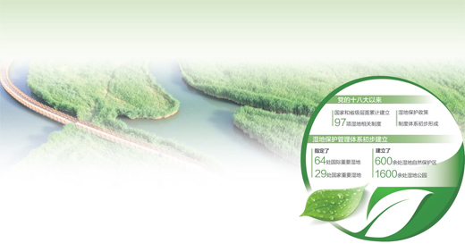 濕地保護(hù)法正式施行，多地加大力度強(qiáng)化措施 大美濕地多樣守護(hù)（美麗中國）