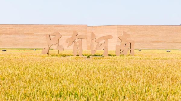 免費游玩、國風(fēng)游園、文化大餐……端午節(jié)河南文旅消費強勁復(fù)蘇，各大景區(qū)鉚足了干勁兒