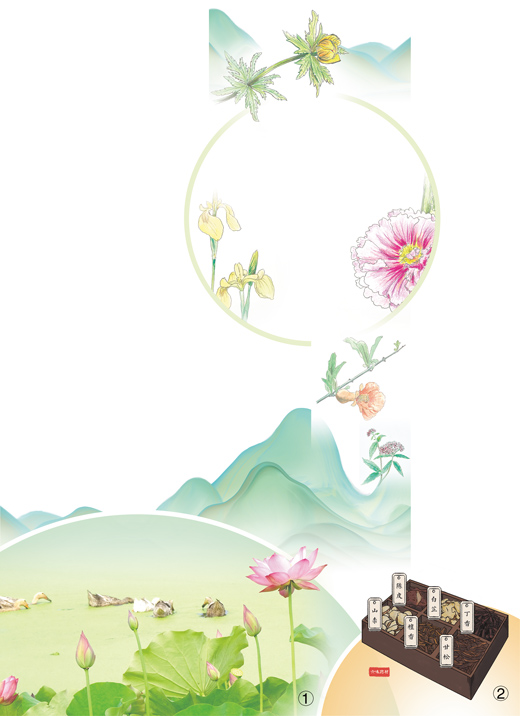 沅有芷兮澧有蘭端午時(shí)節(jié)草木深